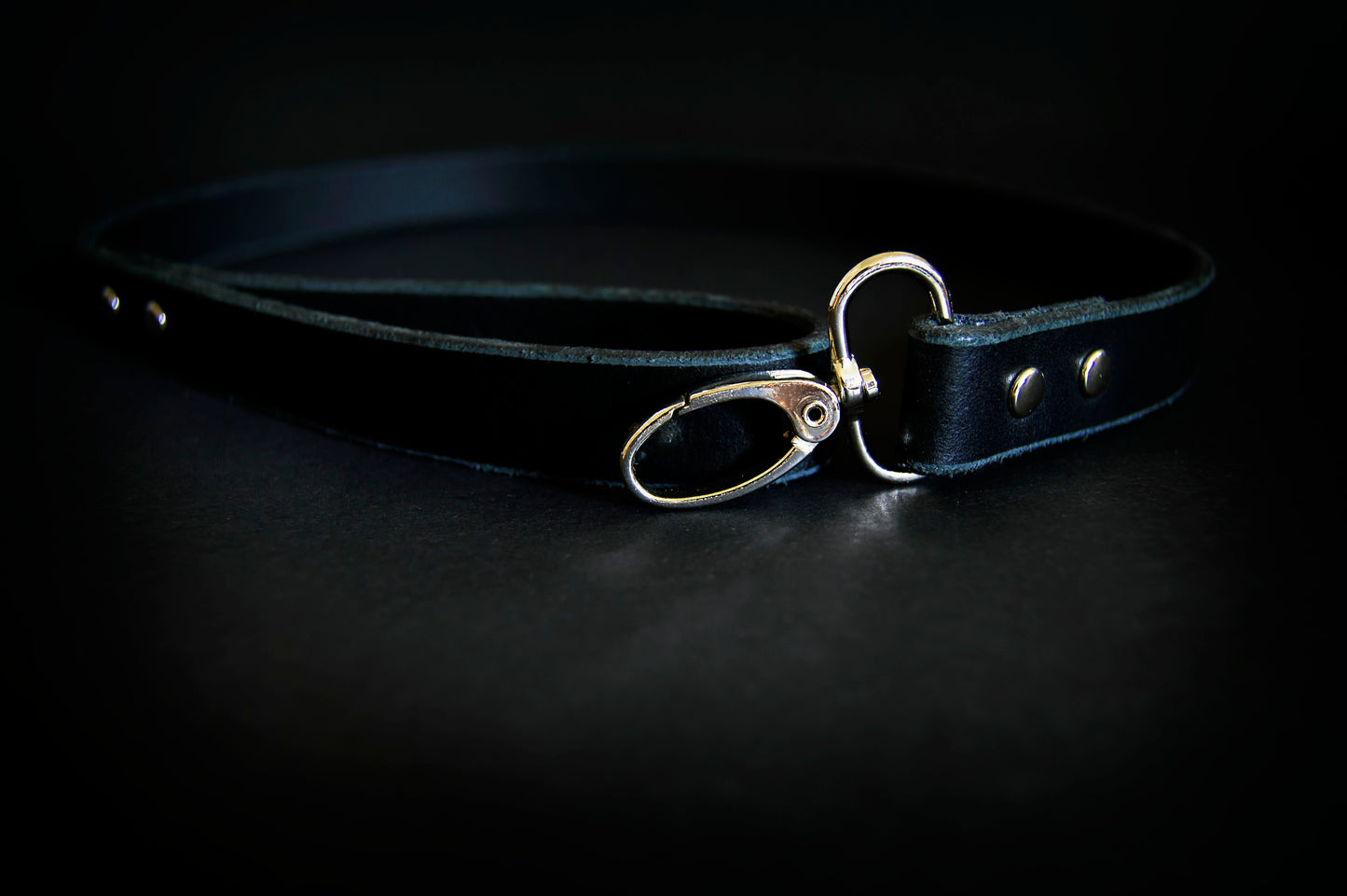 A black premium leather leash with silver hardware showcased on a dark surface.