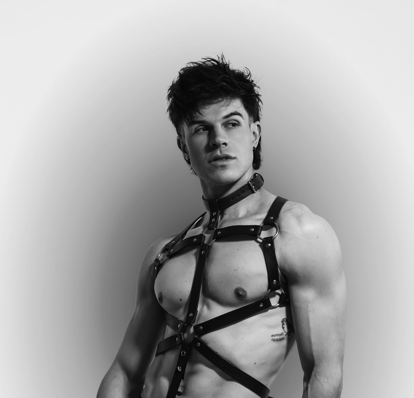 The Atlas Leather Harness