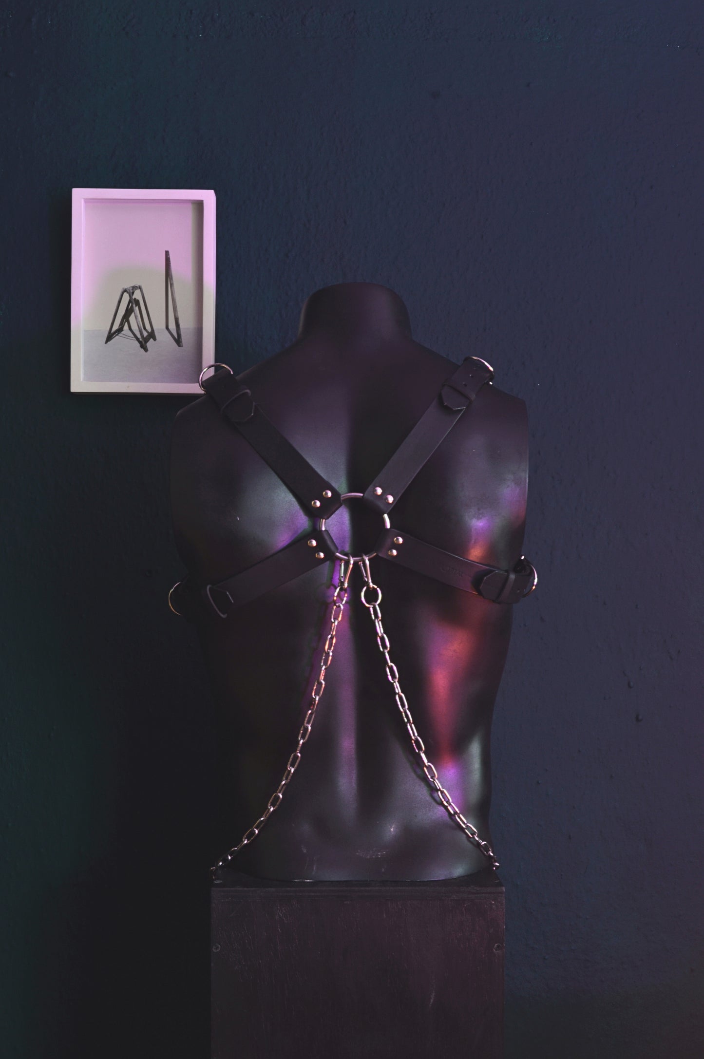 The Helios Leather Harness