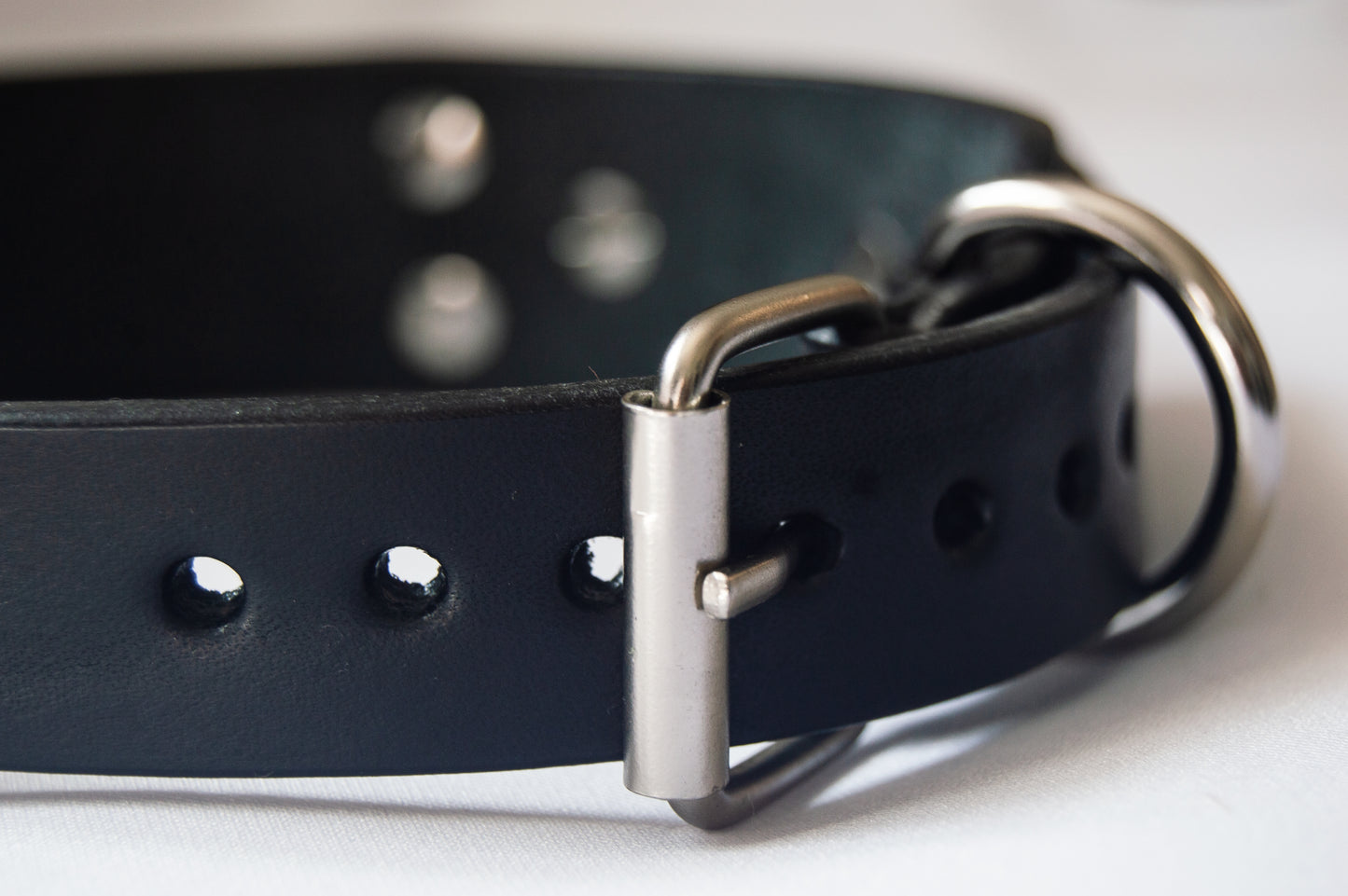 'Insert Text' Custom Leather Collar