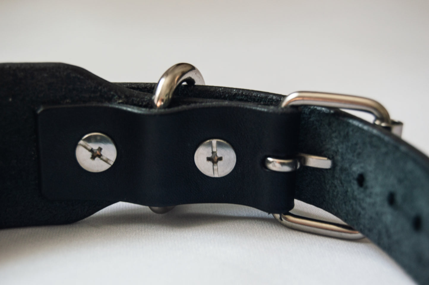 'Insert Text' Custom Leather Collar
