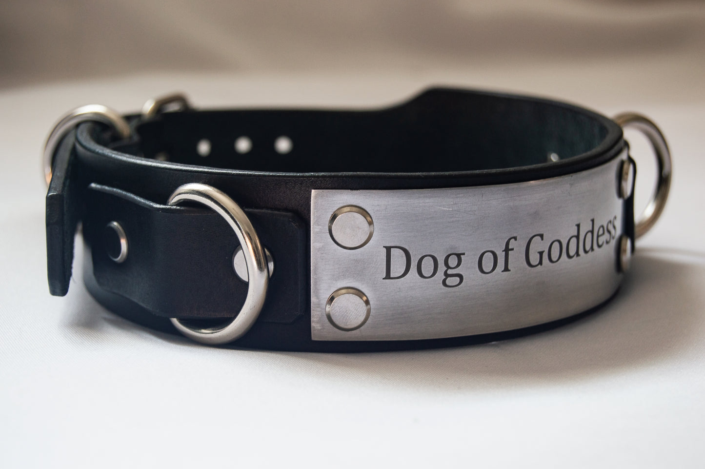 'Insert Text' Custom Leather Collar