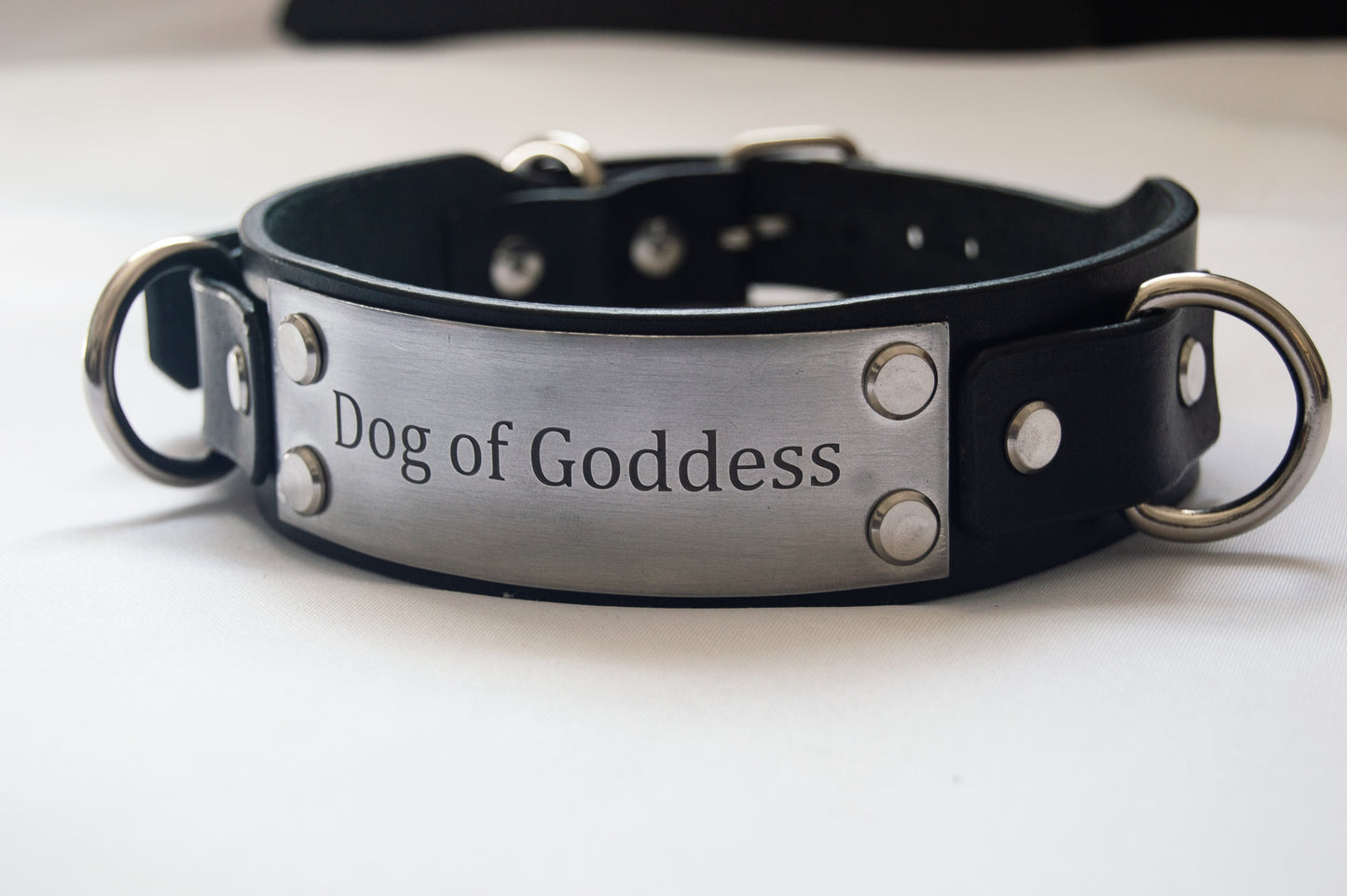 'Insert Text' Custom Leather Collar