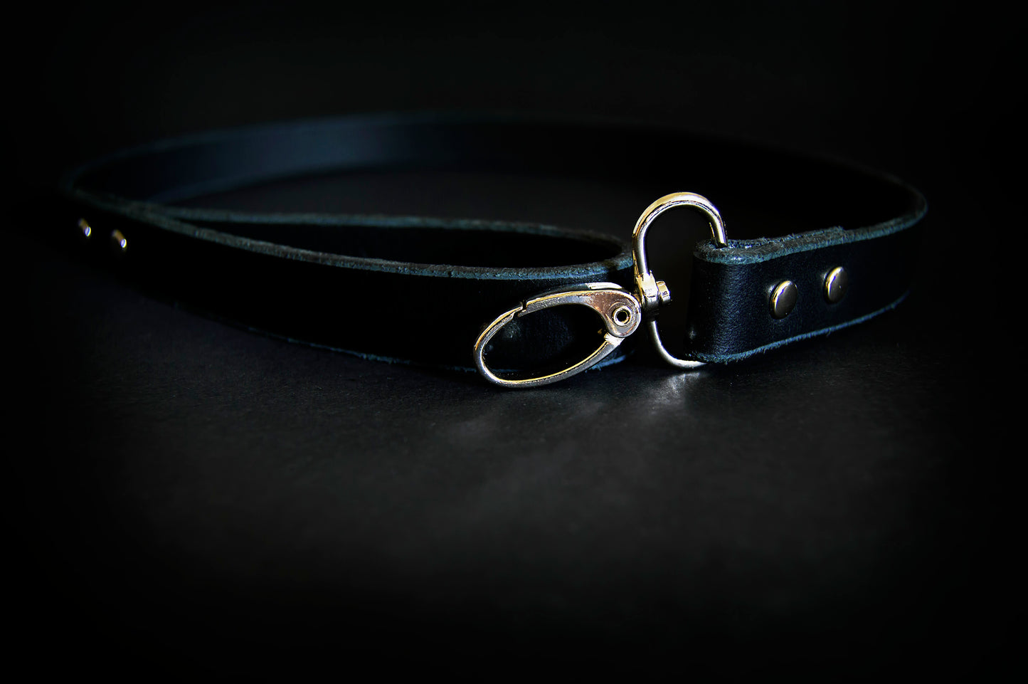 A black leather leash with silver hardware shown on a dark surface.