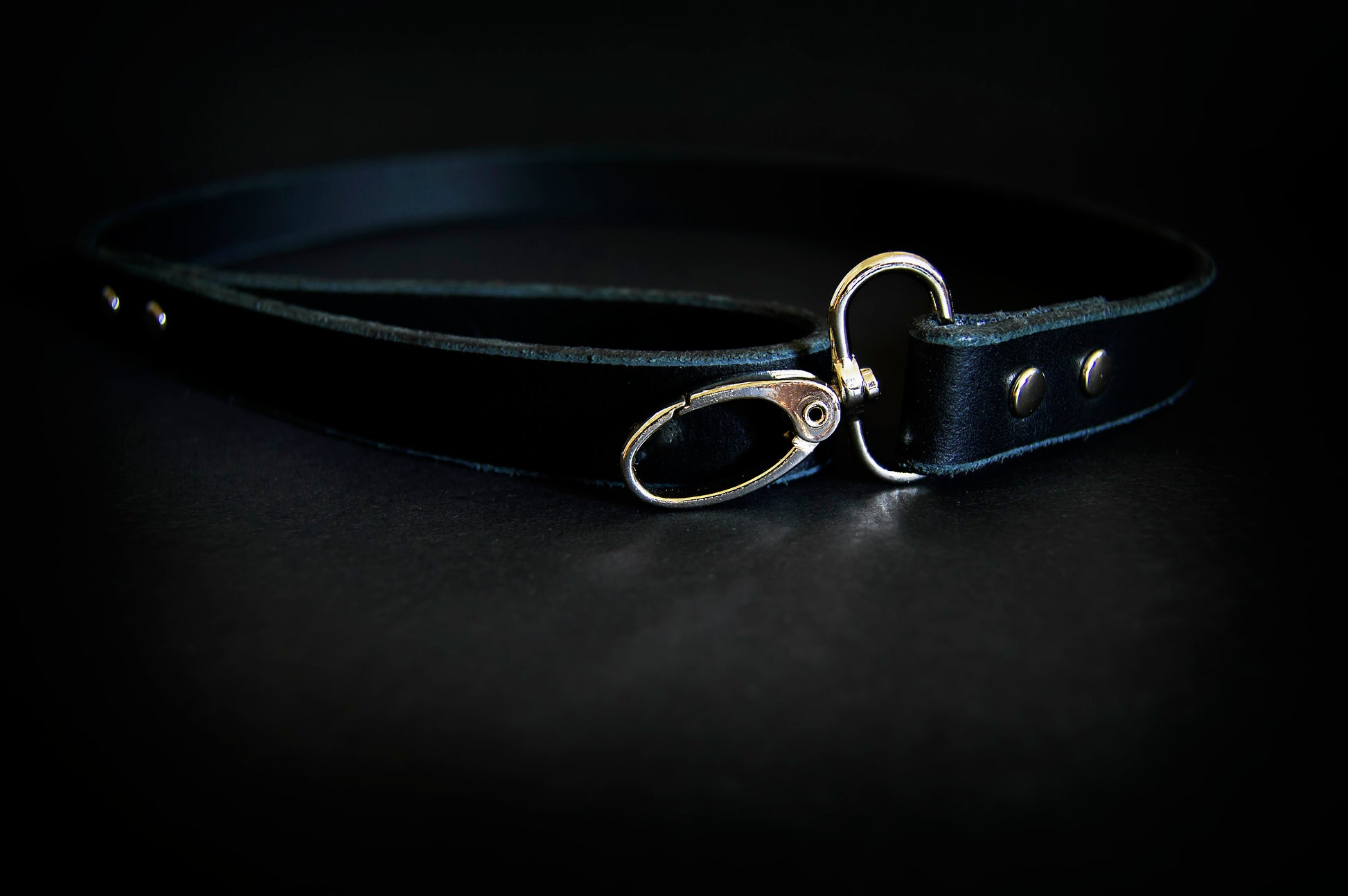 A black leather leash with silver hardware shown on a dark surface.