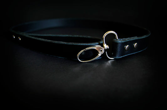 A black leather leash with silver hardware shown on a dark surface.