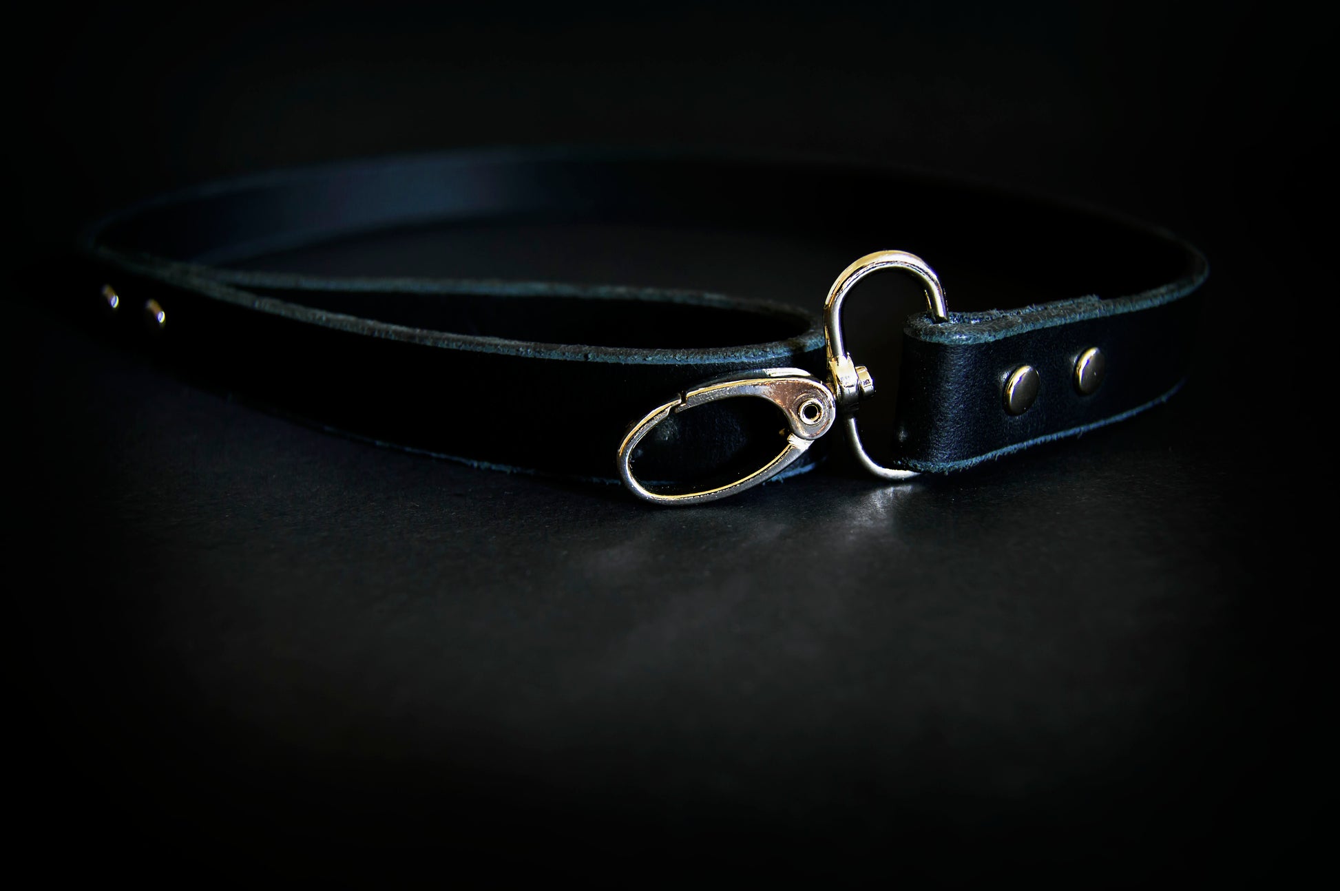 A black premium leather leash with silver hardware showcased on a dark surface.