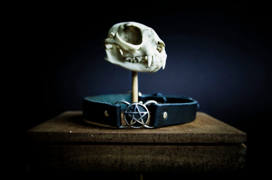 A black leather choker with a silver pentagram wrapped around a small animal skull is mounted on a stand, on a wooden surface, against a dark background.