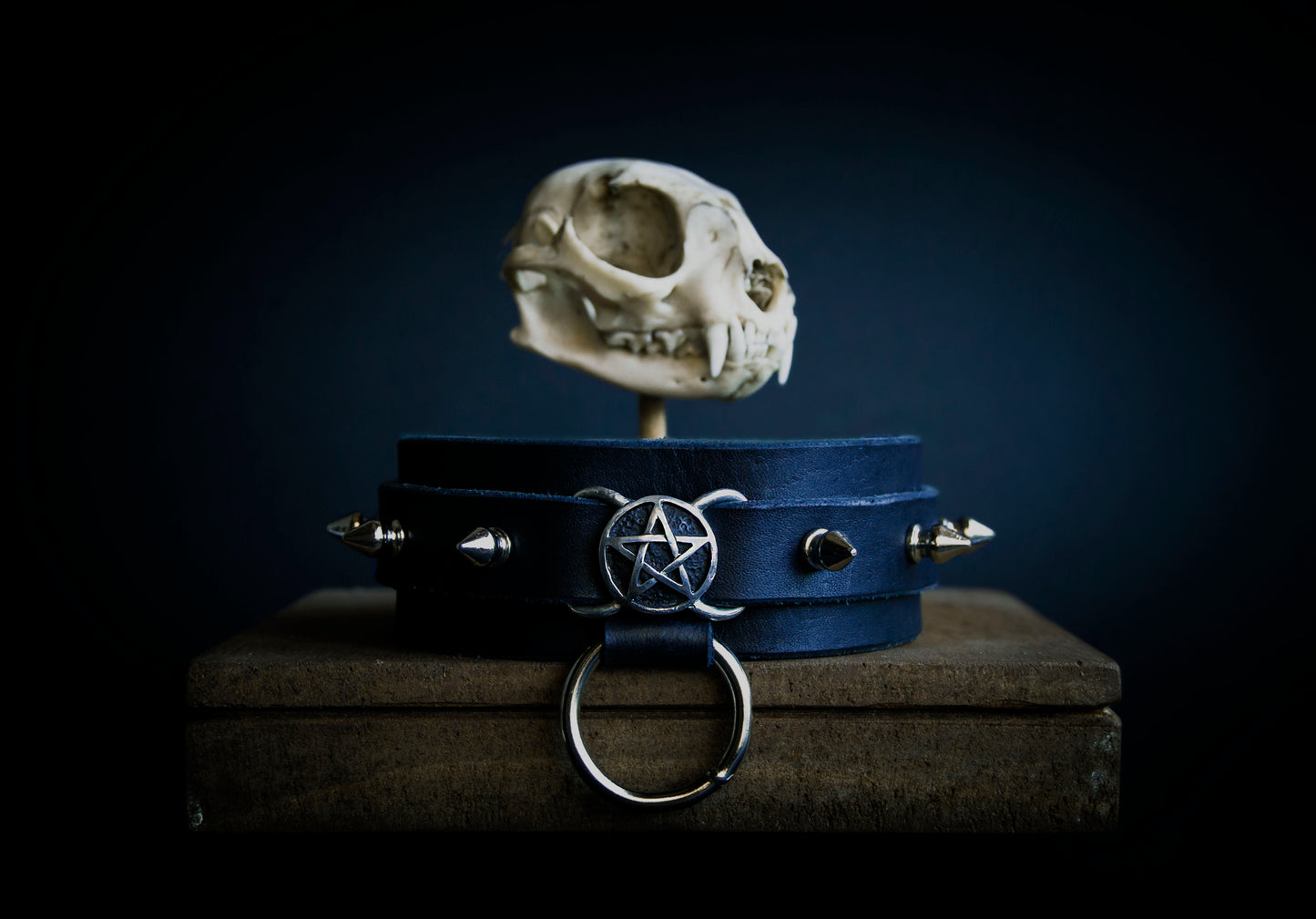 A dark-colored leather collar with a metal buckle and a silver-colored pendant featuring a pentagram design, displayed on a surface with a skull in the background.