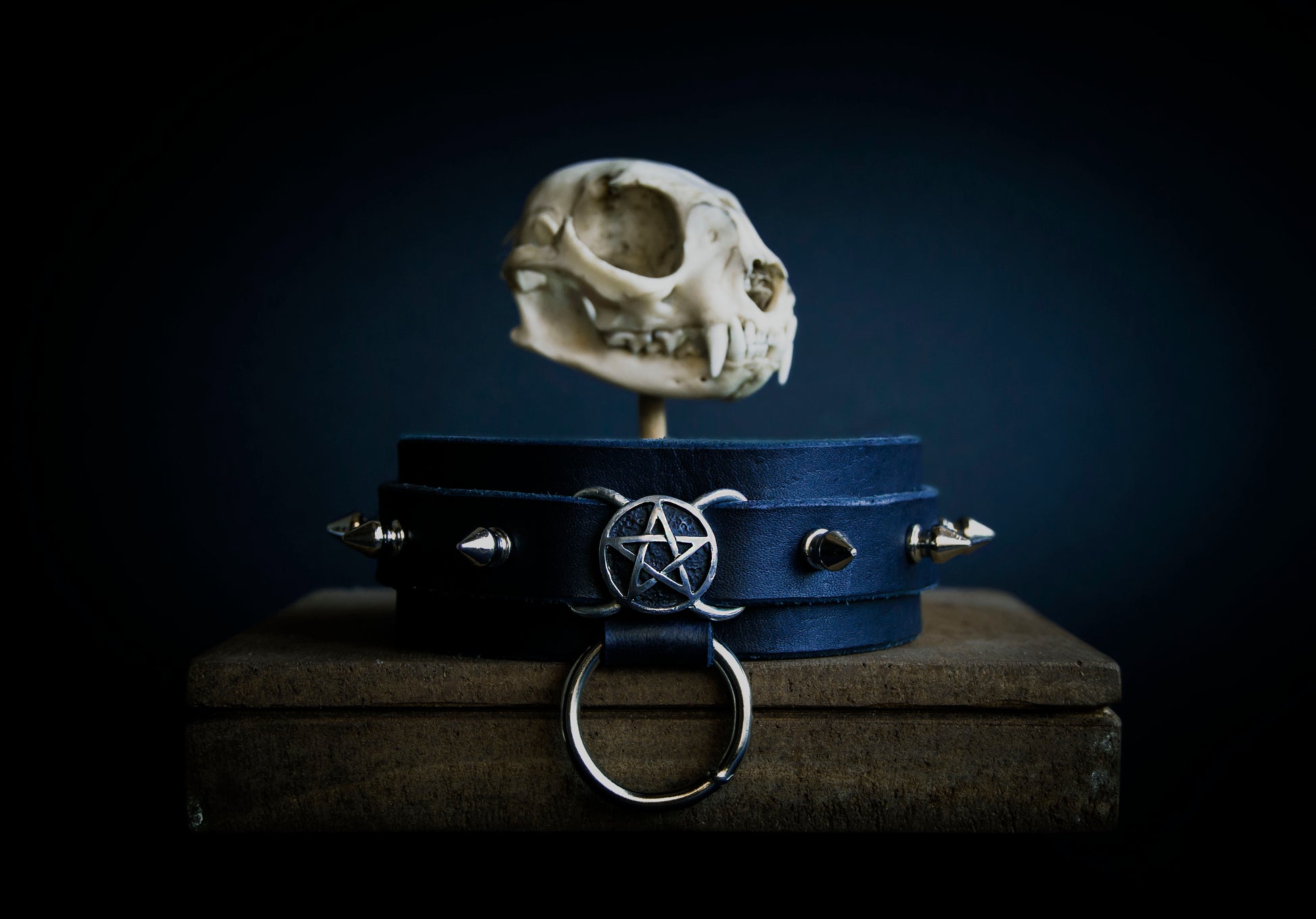 A dark-colored leather collar with a metal buckle and a silver-colored pendant featuring a pentagram design, displayed on a surface with a skull in the background.